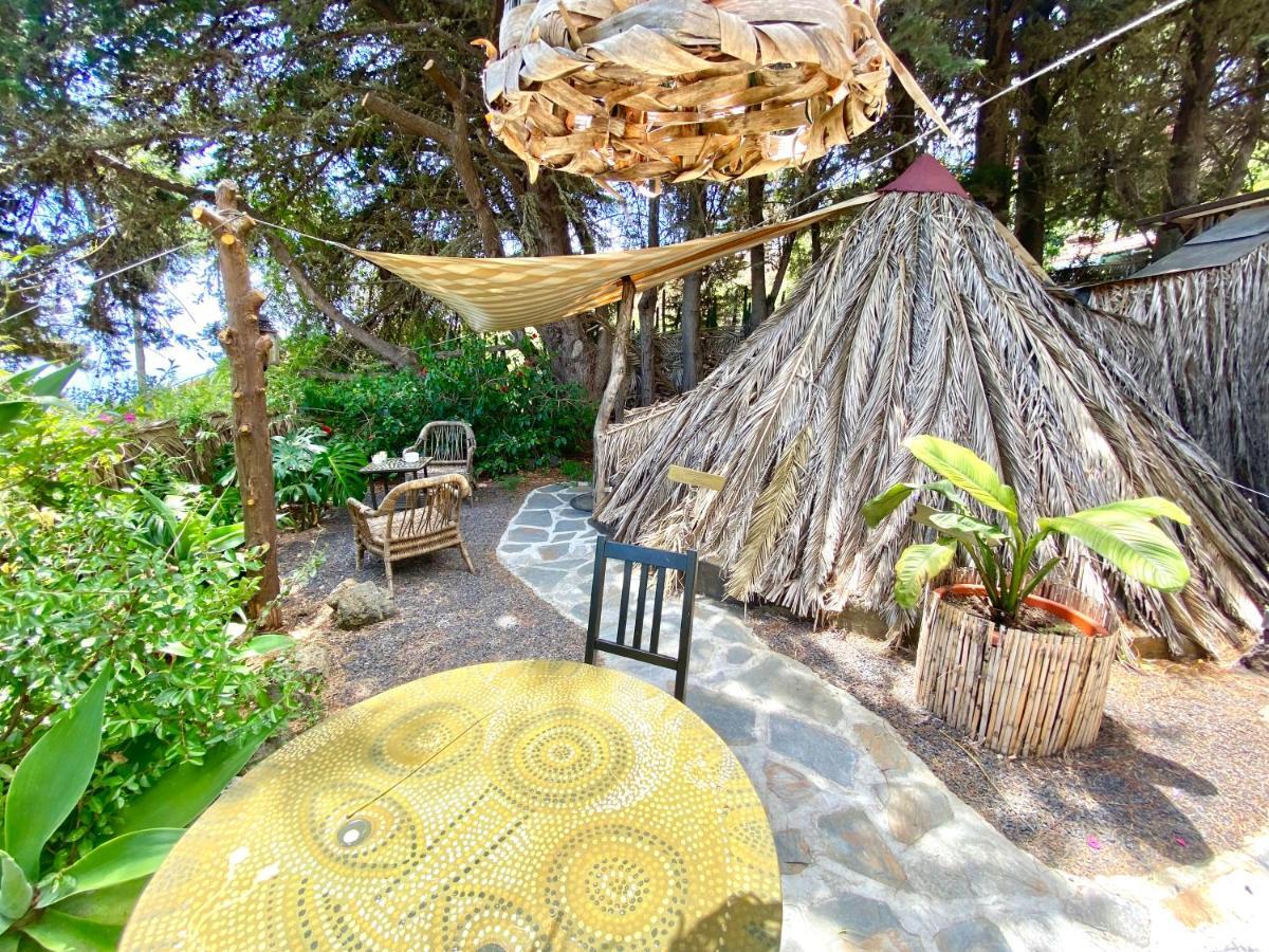 Mazo The Glamping *